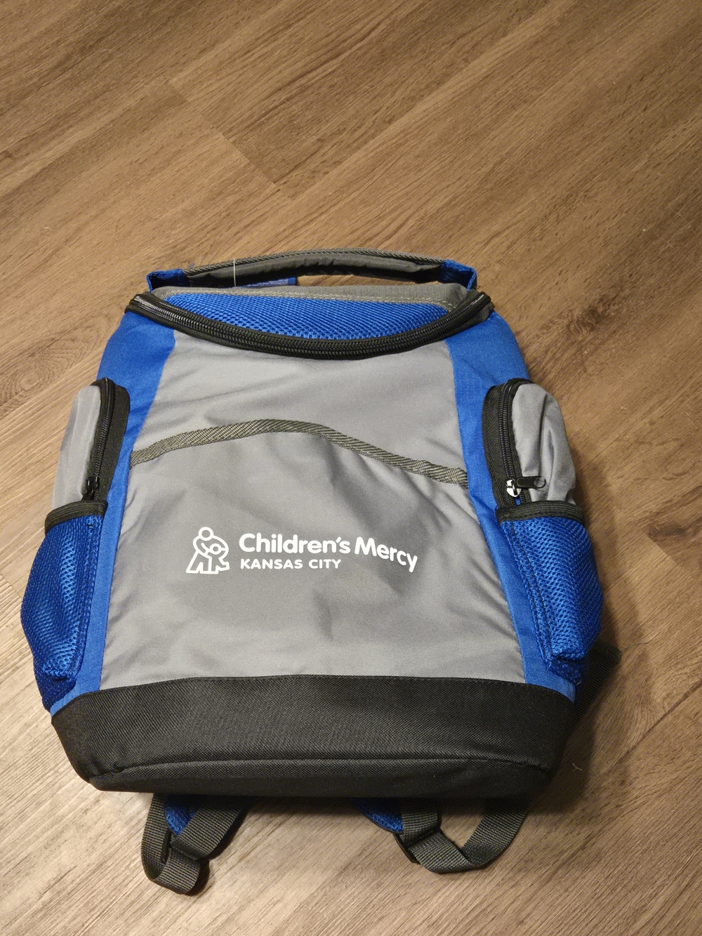 Gray & Blue Insulated Lunch Backpack And Cooler Brand New